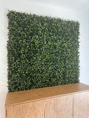 Greenwall Wand Pflanzen Neupreis 180€ 3 qm Topzustand